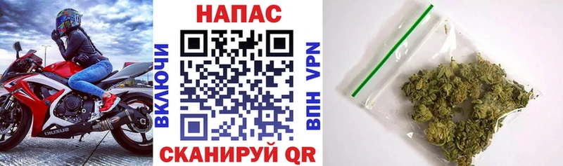 Конопля ГИДРОПОН  Кукмор 